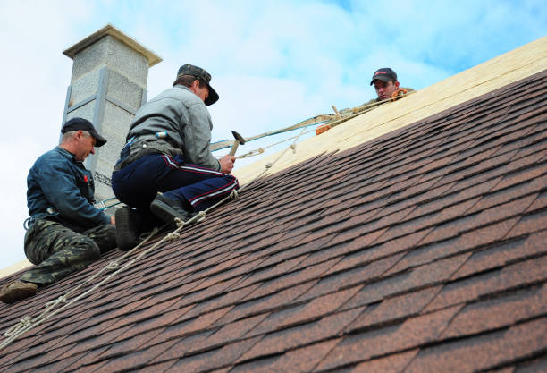 Best Best Roofing Contractors  in Lechee, AZ